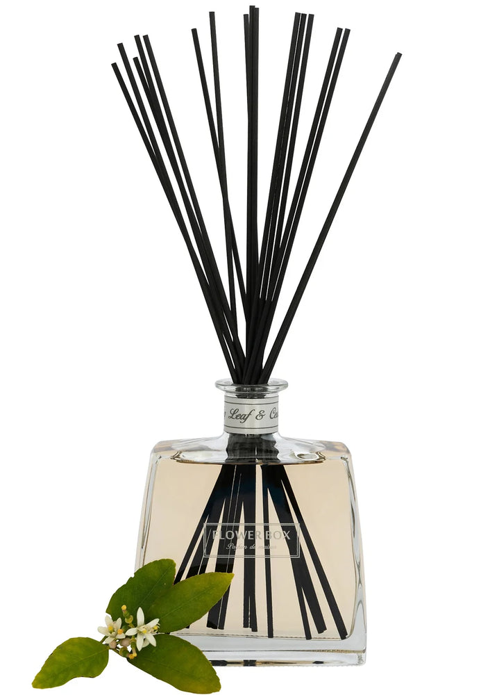 Hallmark Diffuser | Fig Leaf & Cedar This sophisticated fragrance begins its story with top notes of Rosemary & Lemon - moving into the familiar and enticing scent of Fig Leaves; where Orange Blossom makes it's long awaited appearance above a luxuriously warm and substantial base of Cedar. This phenomenal fragrance is truly memorable and incredibly addictive; suited to the most discerning customers. 