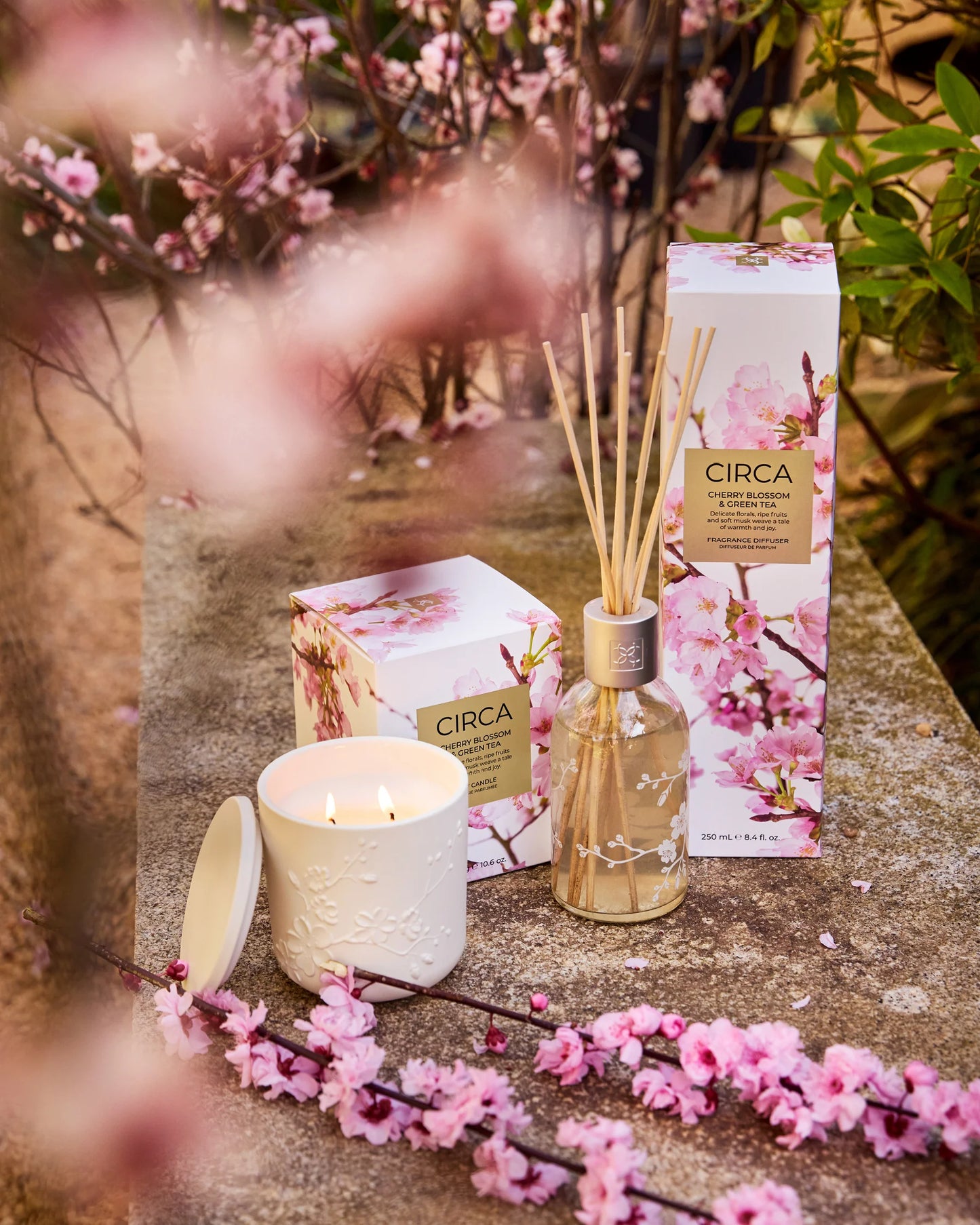 
                  
                    Cherry Blossom & Green Tea Soy Candle 300g Limited Edition
                  
                