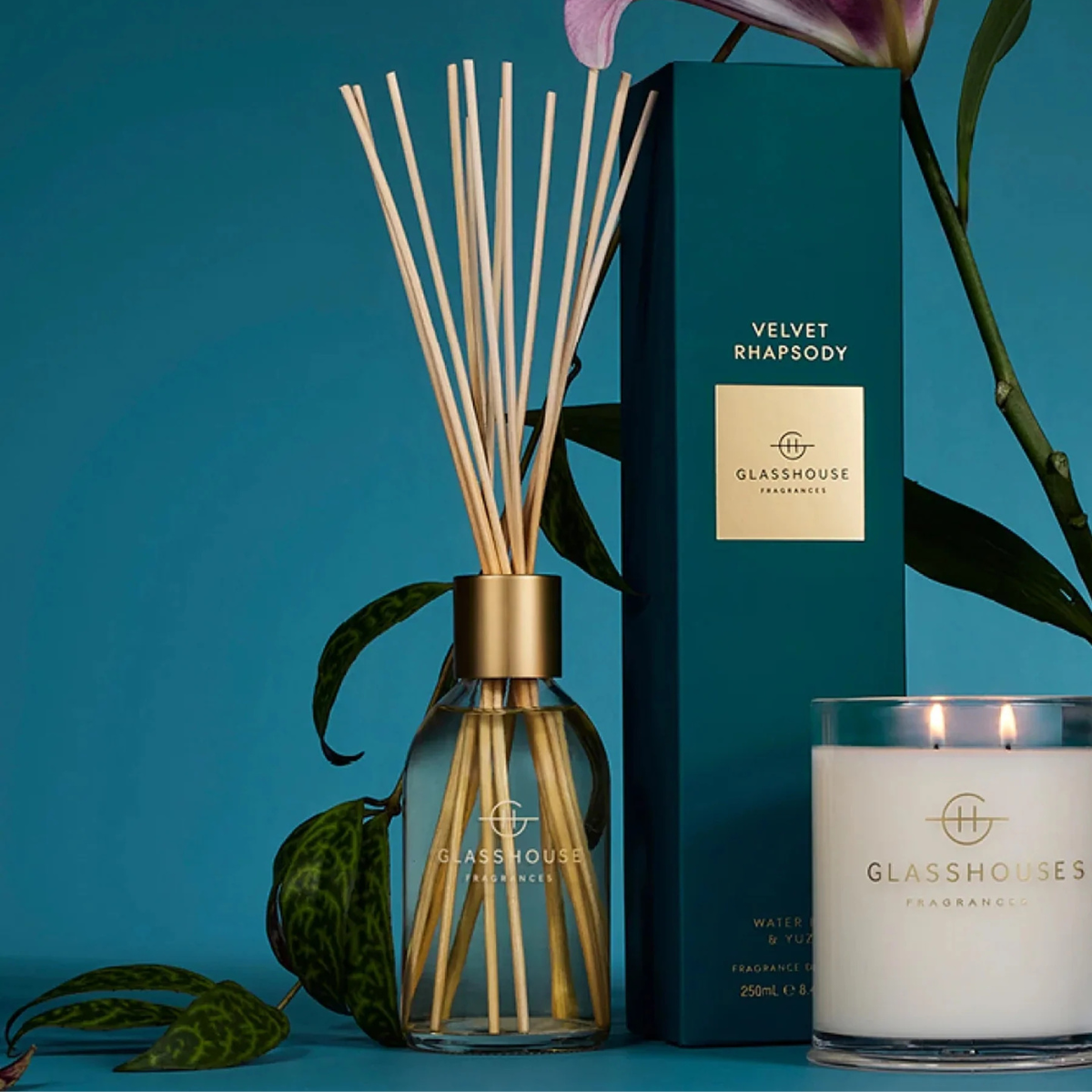 
                  
                    Velvet Rhapsody Diffuser
                  
                