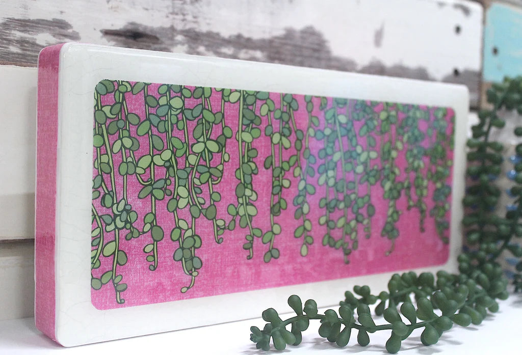 
                  
                    Plants on Pink - String of Pearls
                  
                