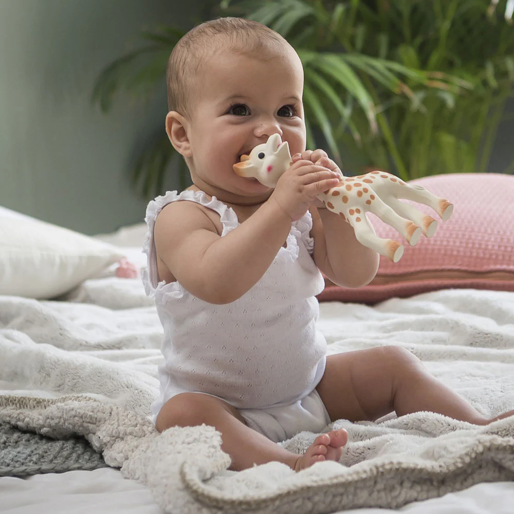 
                  
                    Sophie La Girafe Gift Box
                  
                