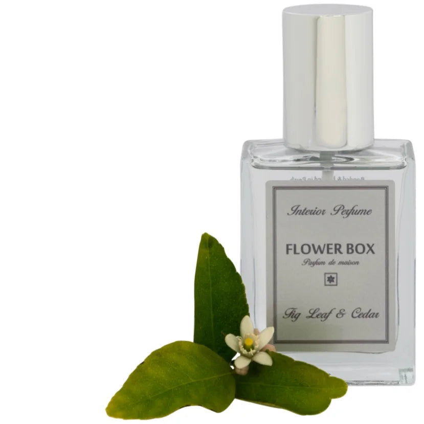Interior Perfume | Fig Leaf & Cedar This sophisticated fragrance begins its story with top notes of Rosemary & Lemon - moving into the familiar and enticing scent of Fig Leaves; where Orange Blossom makes it's long awaited appearance above a luxuriously warm and substantial base of Cedar. This phenomenal fragrance is truly memorable and incredibly addictive; suited to the most discerning customers. 