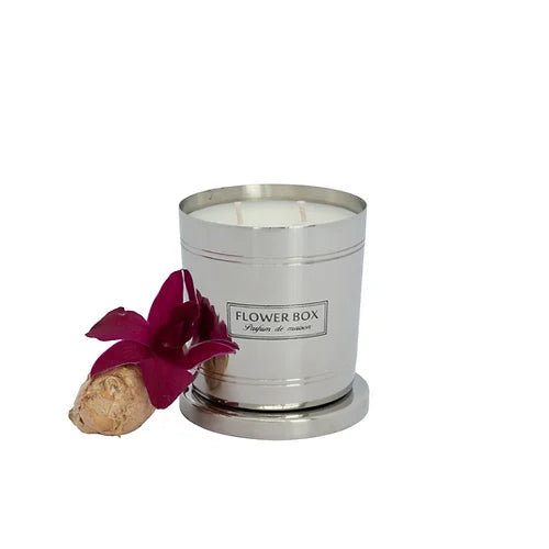 
                  
                    Standard Candle | Amber Orchid
                  
                