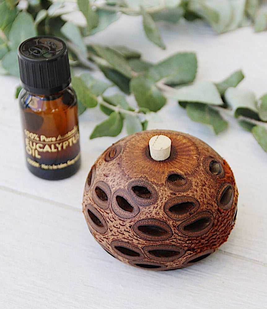 
                  
                    Mini Aroma Pod Diffuser Widely known as the BEST natural diffuser available today!  Why? The Banksia Grandis seed pod (the material from which they are made) is particularly porous, it soaks up your essential oil and slowly releases the aroma through its pores. No flames and no electricity are needed with our all natural diffuser!
                  
                