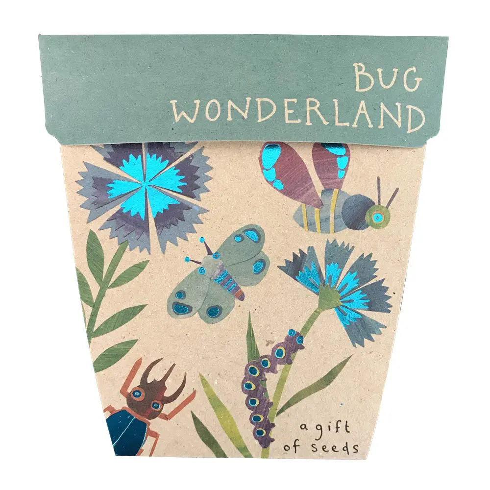 
                  
                    Bug Wonderland Gift Of Seeds Discover the wonder of nature and create a colourful garden kingdom that bugs will love with a Bug Wonderland Gift of Seeds.
                  
                