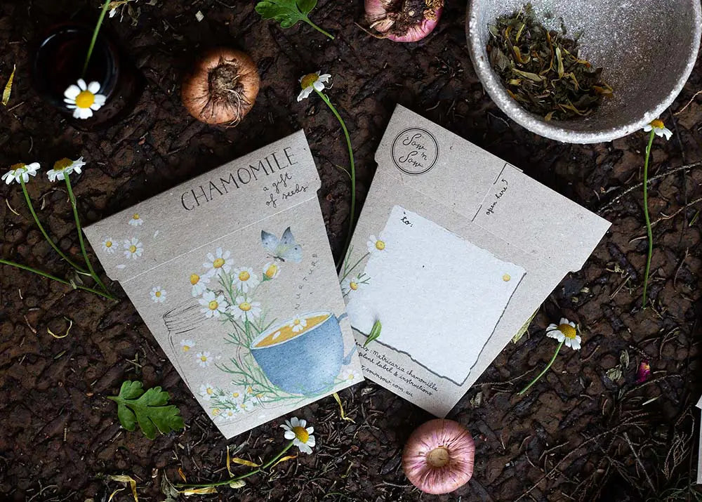
                  
                    Chamomile Gift Of Seeds Nurture yourself or someone you love with ‘Chamomile’ Gift of Seeds. Included as a part of Sow 'n Sows ‘Nurture’ range, this will be the perfect gift that is both beautiful and useful.
                  
                