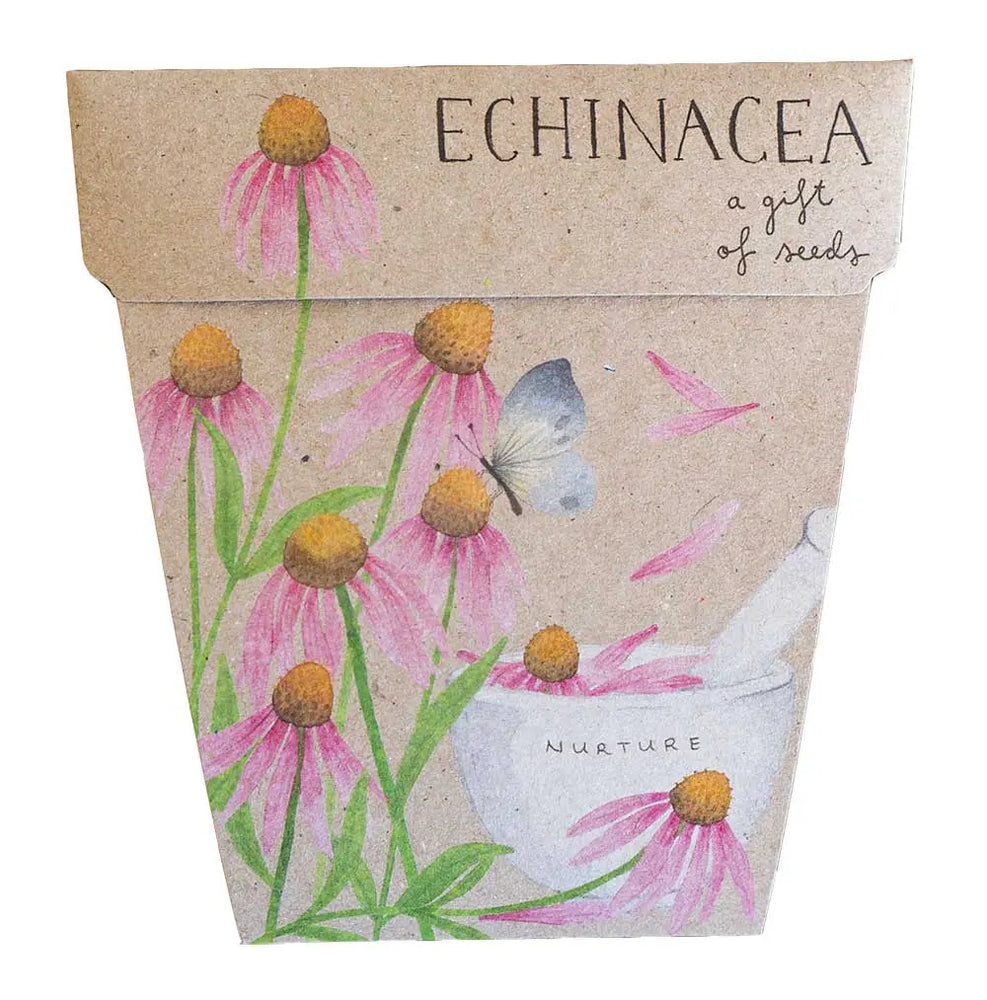 
                  
                    Echinacea Gift Of Seeds Echinacea is a purple flower with a prominent central cone, giving it the more common name of ‘Coneflower’. They are loved by pollinators such as honeybees and butterflies, making an attractive addition to a cottage style garden.
                  
                