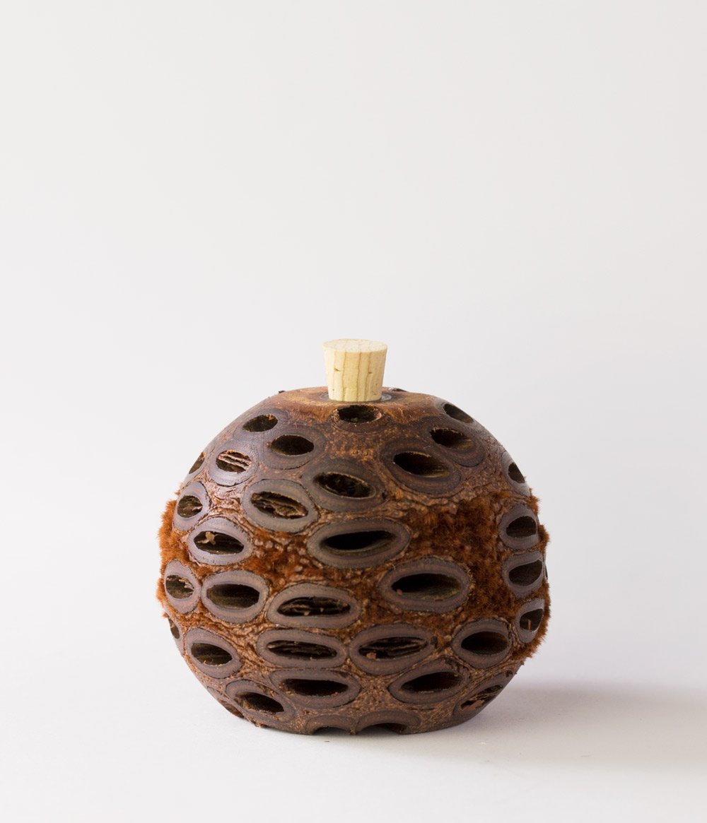 Mini Aroma Pod Diffuser Widely known as the BEST natural diffuser available today!  Why? The Banksia Grandis seed pod (the material from which they are made) is particularly porous, it soaks up your essential oil and slowly releases the aroma through its pores. No flames and no electricity are needed with our all natural diffuser!
